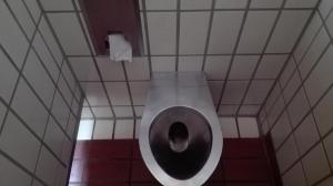 Wolfselb-Parkplatzschwuchtel Session 20170901 00