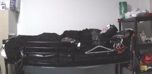 2023-01-14 School-Skunk-in-punishment-bed 006