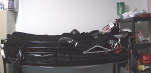 2023-01-14 School-Skunk-in-punishment-bed 010